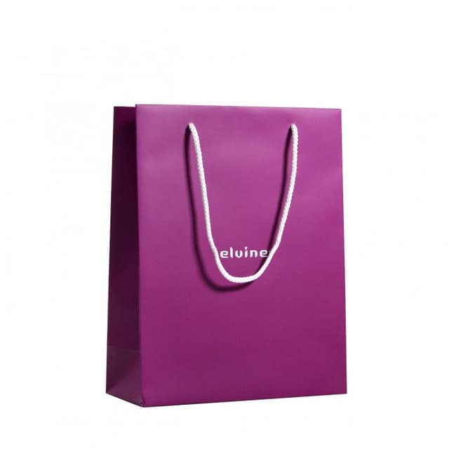 A5 Laminated Paper Bag with Customisable Printing for Retail Packaging — View 1